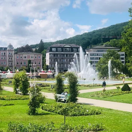 Zentrales Am Rosengarten In Apartament Bad Kissingen